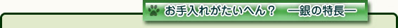 お手入れがたいへん? ―銀の特徴―