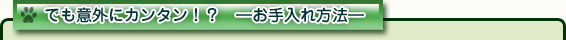 でも意外にカンタン!? ―お手入れ方法―